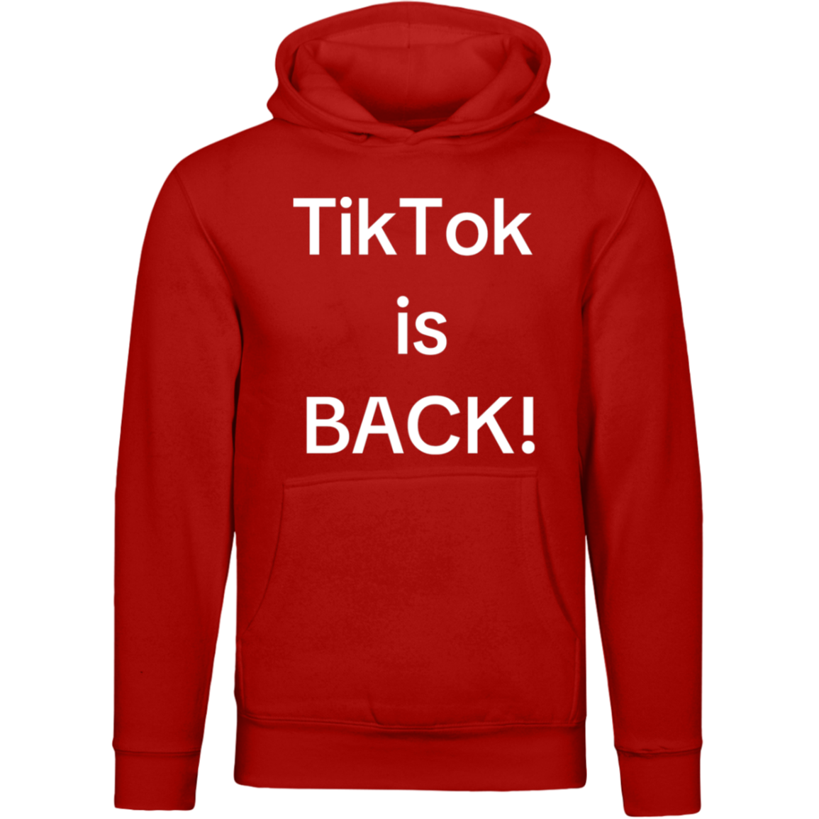 Hoodie-- TT Is back!