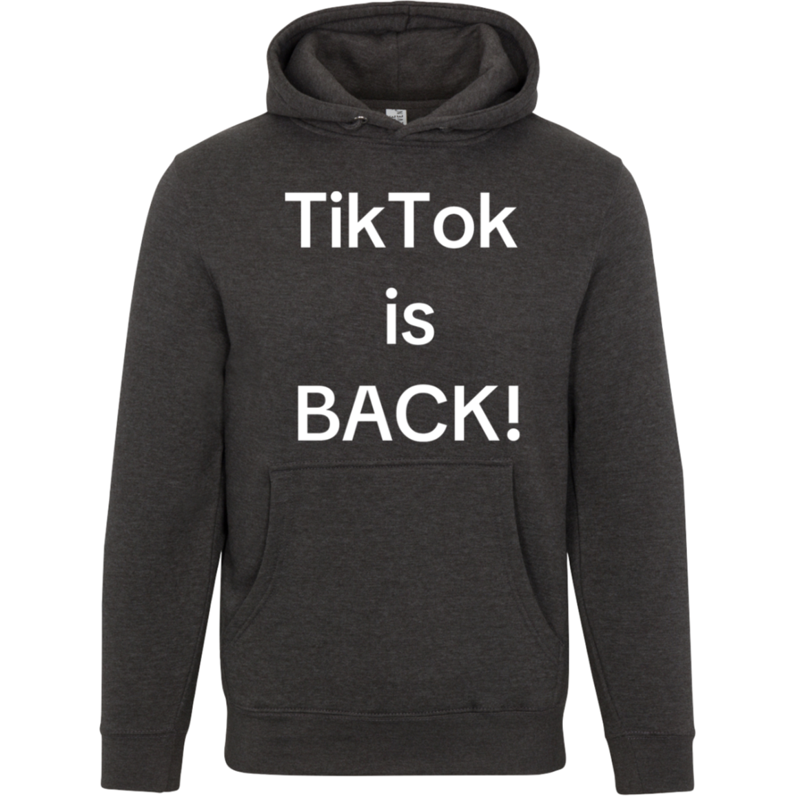 Hoodie-- TT Is back!