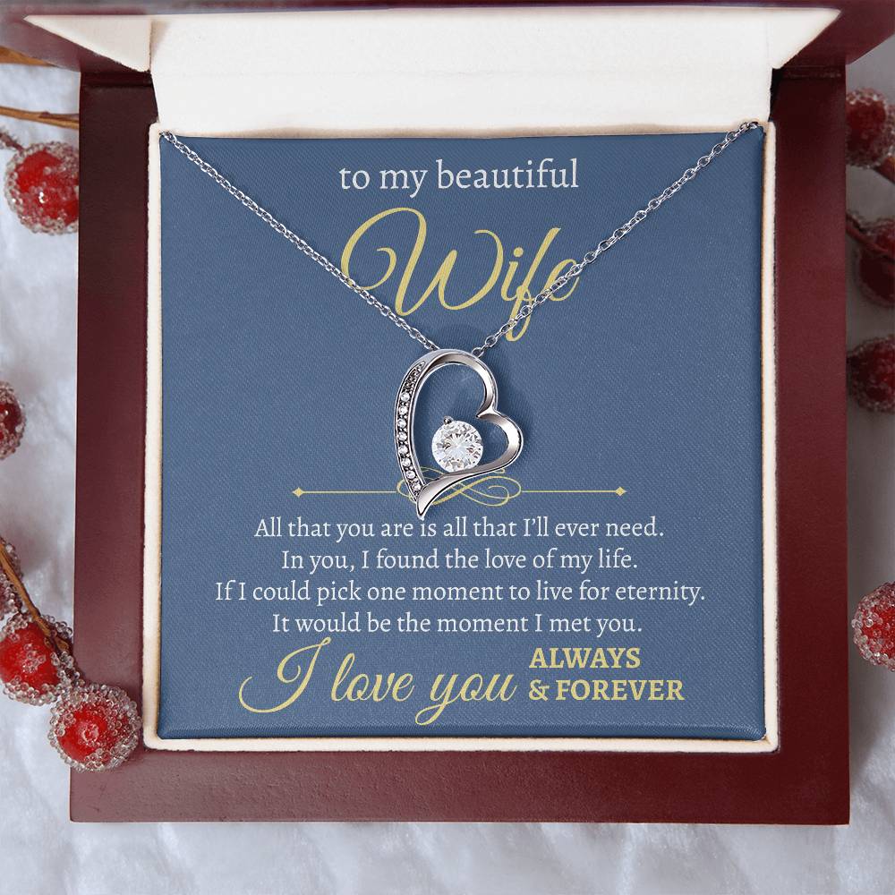 To My Beautiful Wife | All I Will Ever Need | Forever Love Necklace