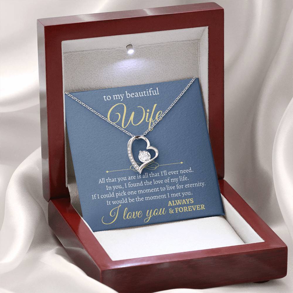 To My Beautiful Wife | All I Will Ever Need | Forever Love Necklace