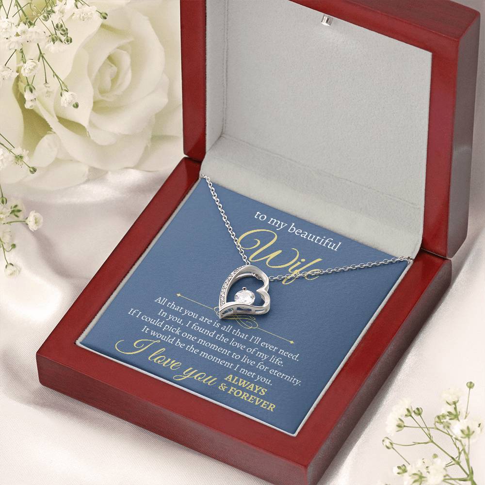 To My Beautiful Wife | All I Will Ever Need | Forever Love Necklace