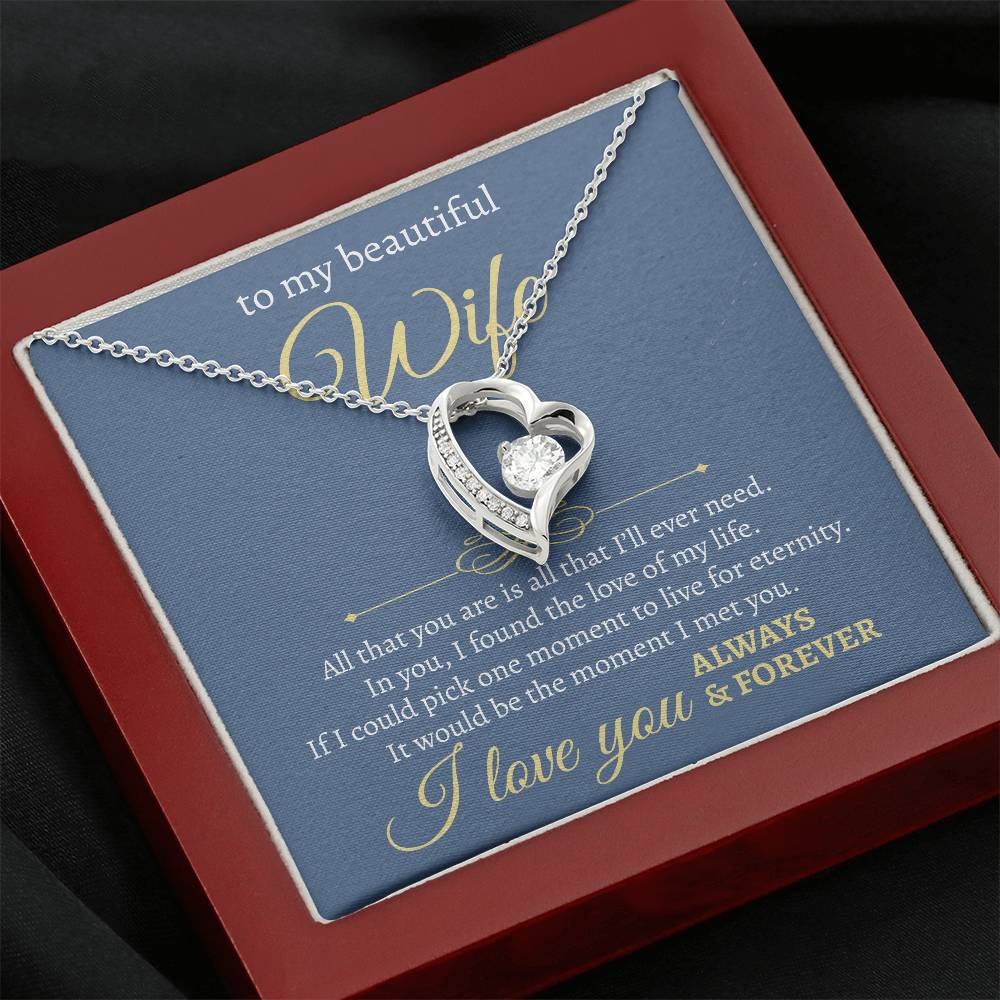 To My Beautiful Wife | All I Will Ever Need | Forever Love Necklace