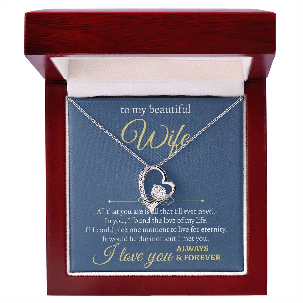 To My Beautiful Wife | All I Will Ever Need | Forever Love Necklace
