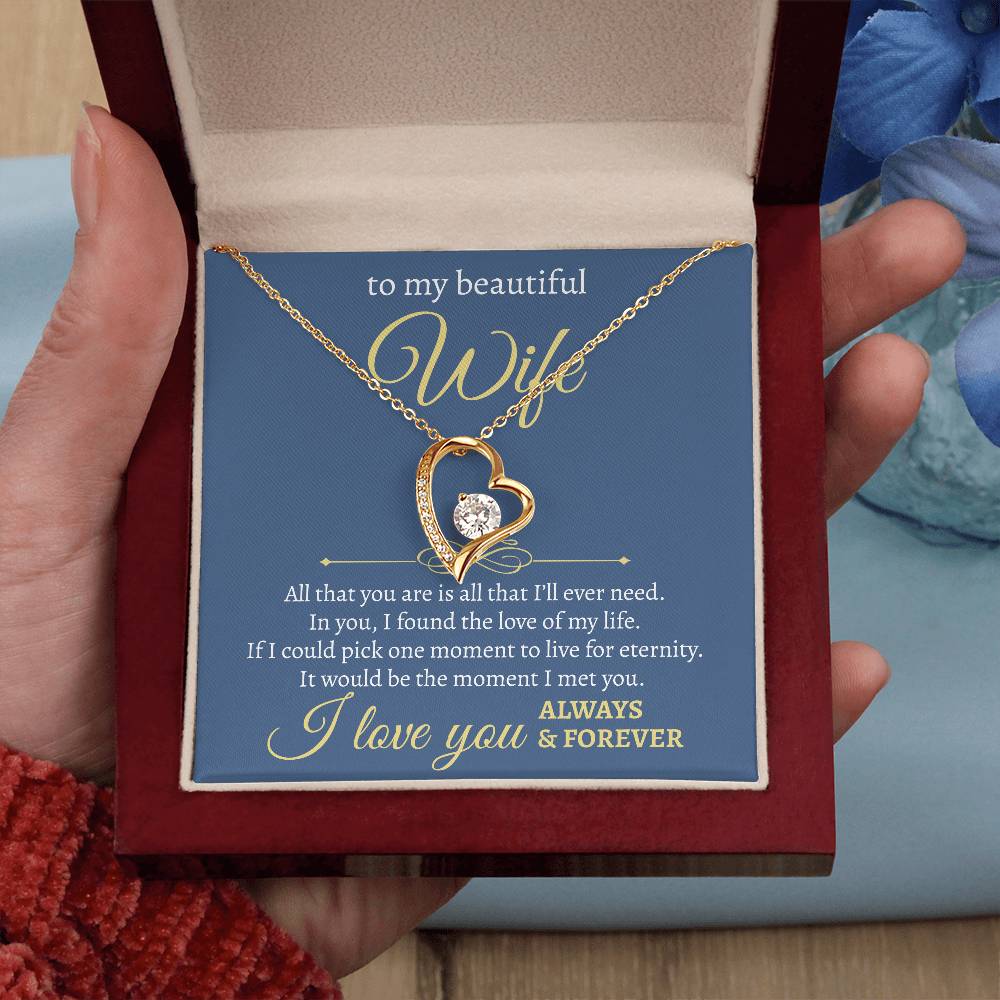 To My Beautiful Wife | All I Will Ever Need | Forever Love Necklace
