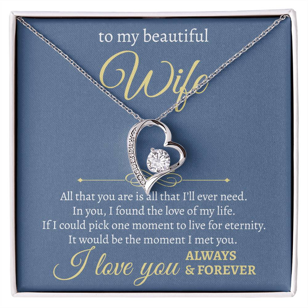 To My Beautiful Wife | All I Will Ever Need | Forever Love Necklace
