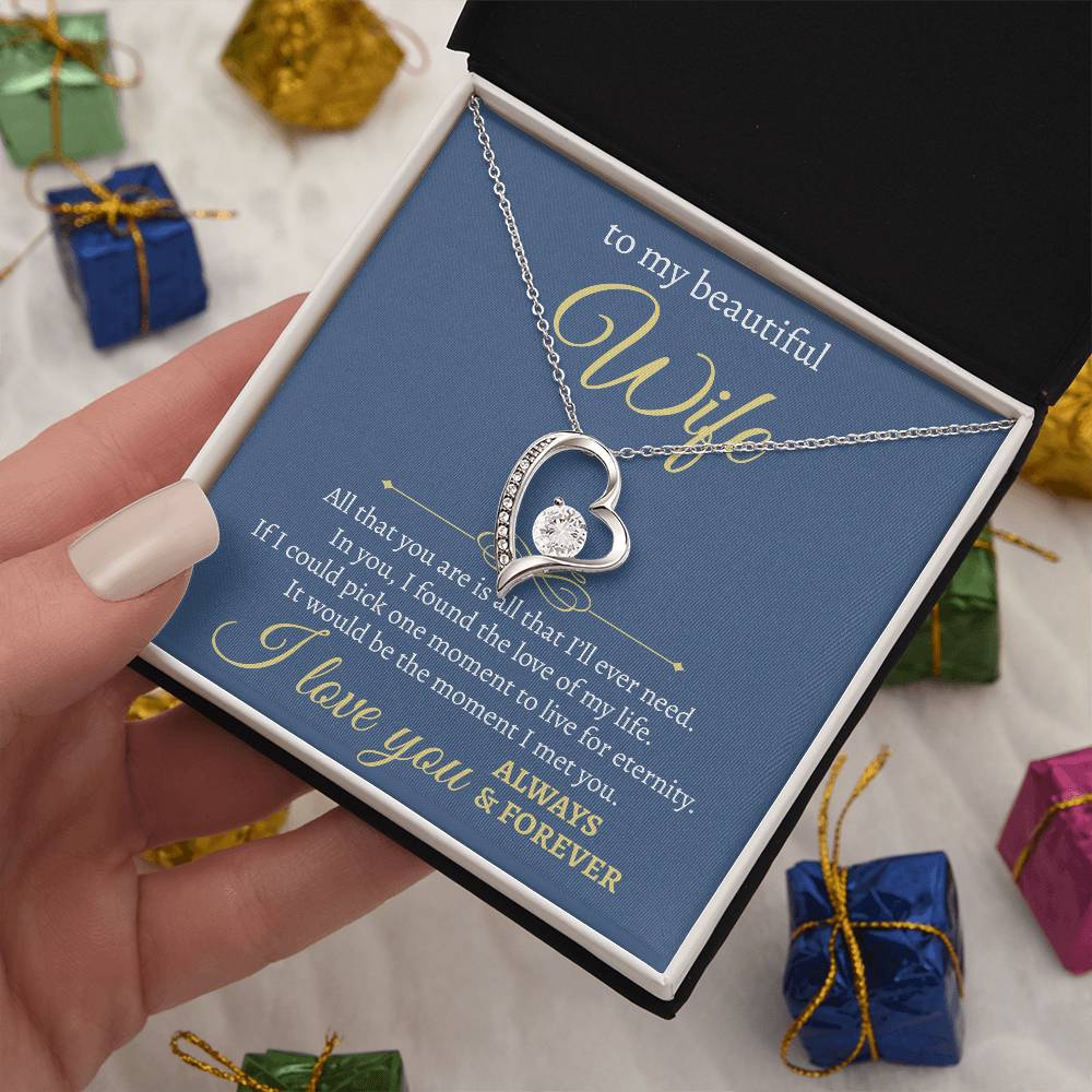 To My Beautiful Wife | All I Will Ever Need | Forever Love Necklace