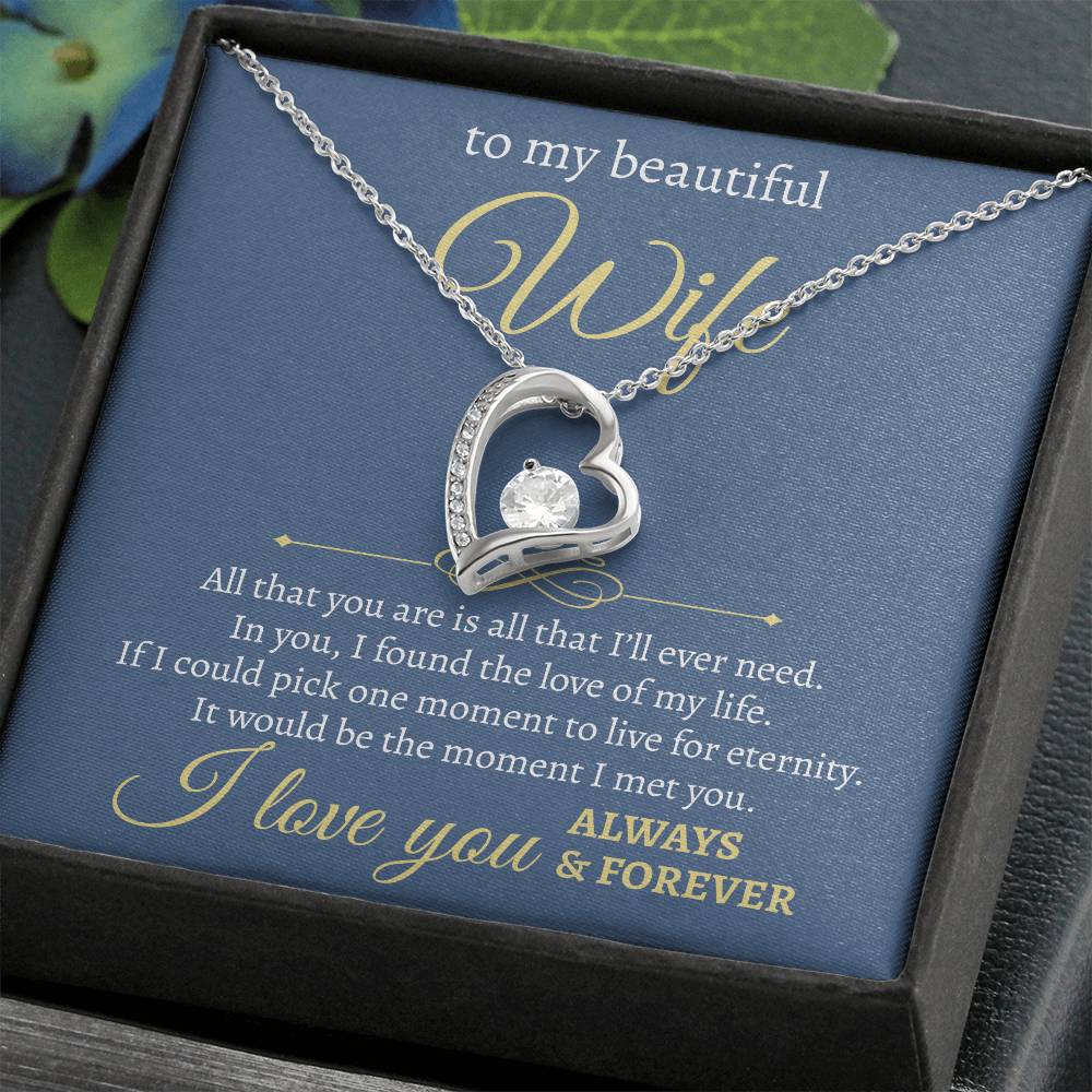 To My Beautiful Wife | All I Will Ever Need | Forever Love Necklace