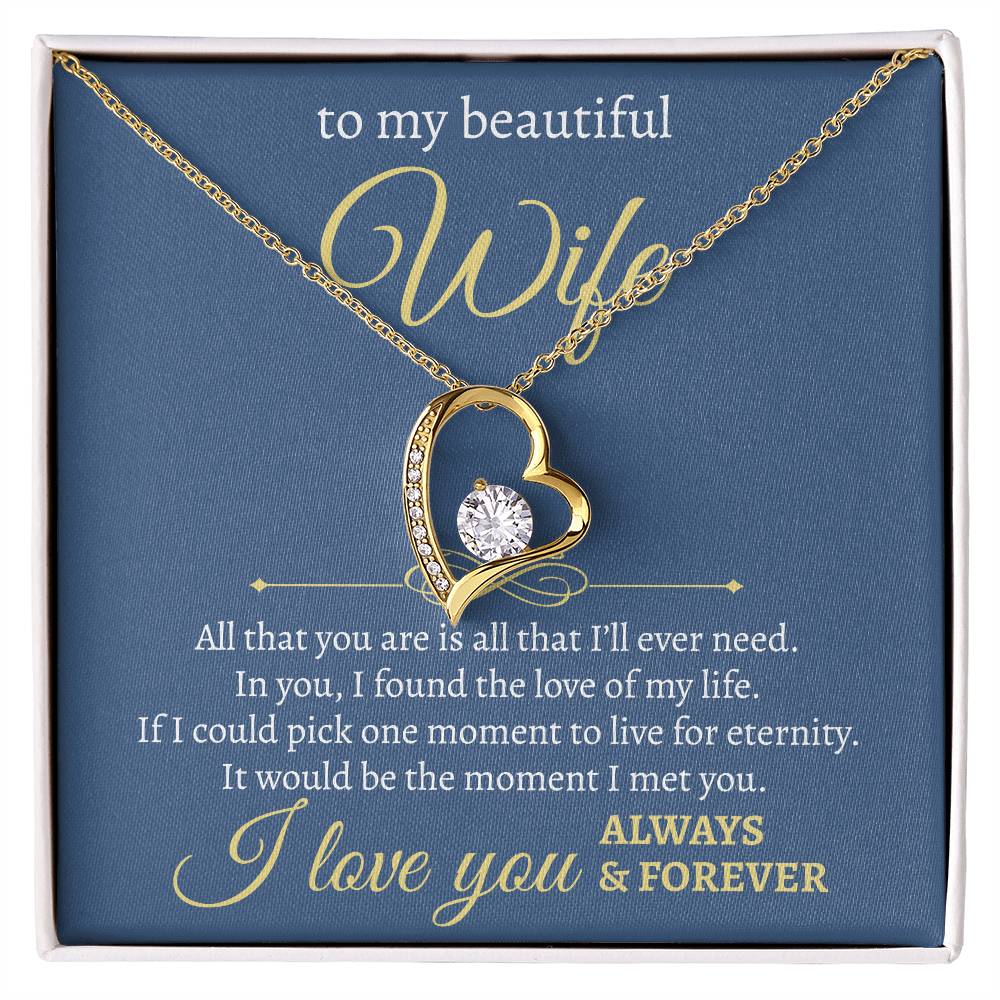 To My Beautiful Wife | All I Will Ever Need | Forever Love Necklace