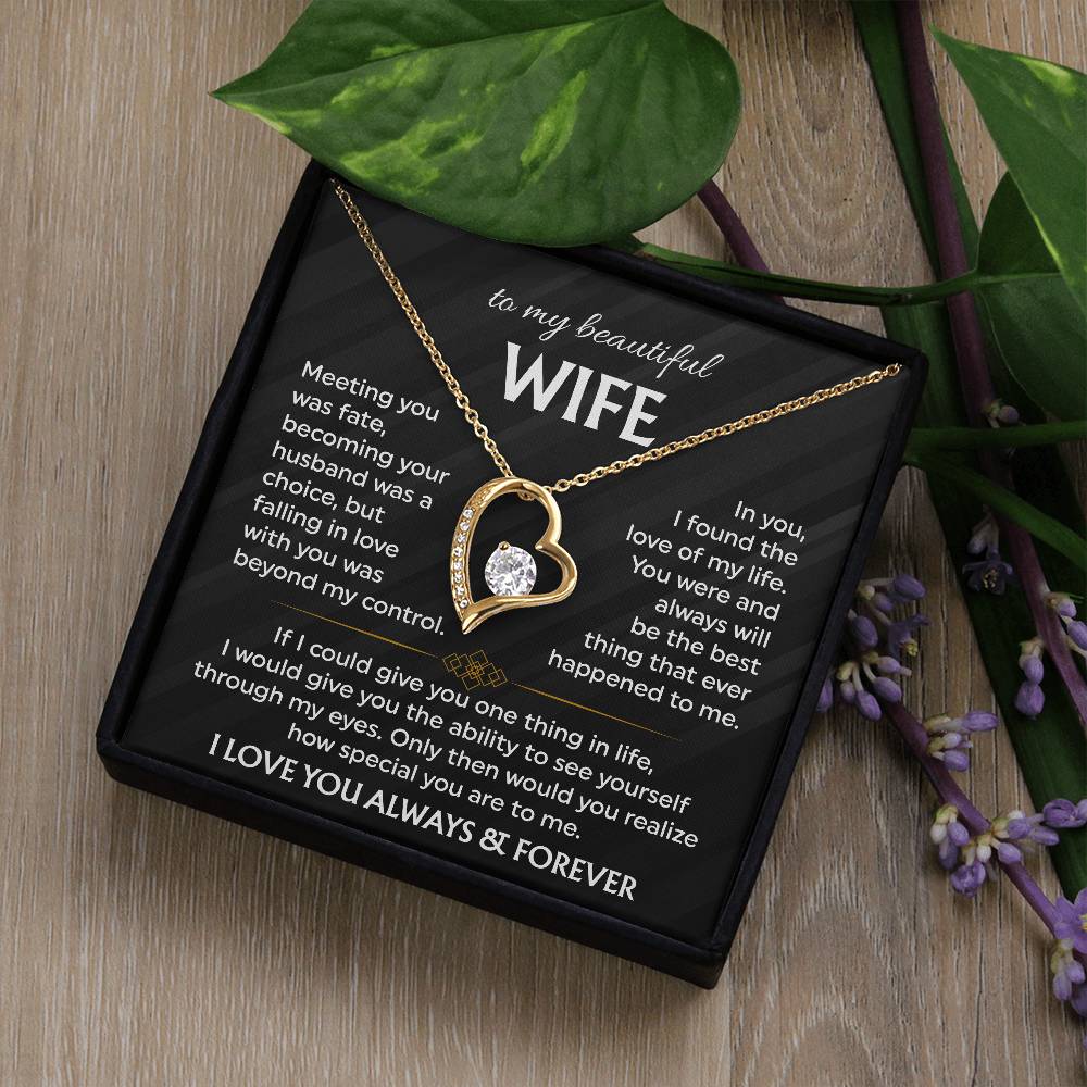To My Beautiful Wife | Meeting You was Fate | Blk Forever Love Necklace