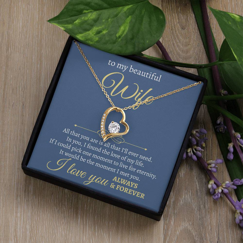 To My Beautiful Wife | All I Will Ever Need | Forever Love Necklace