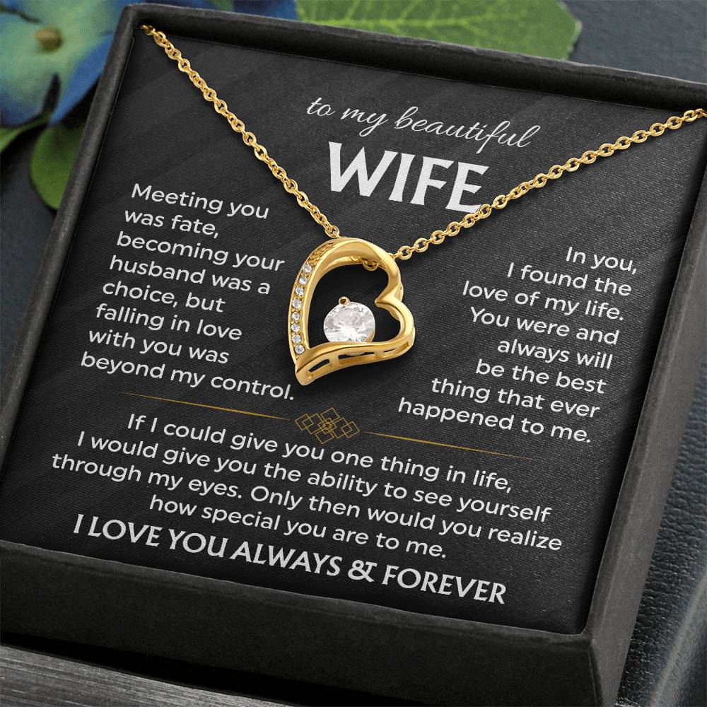 To My Beautiful Wife | Meeting You was Fate | Blk Forever Love Necklace